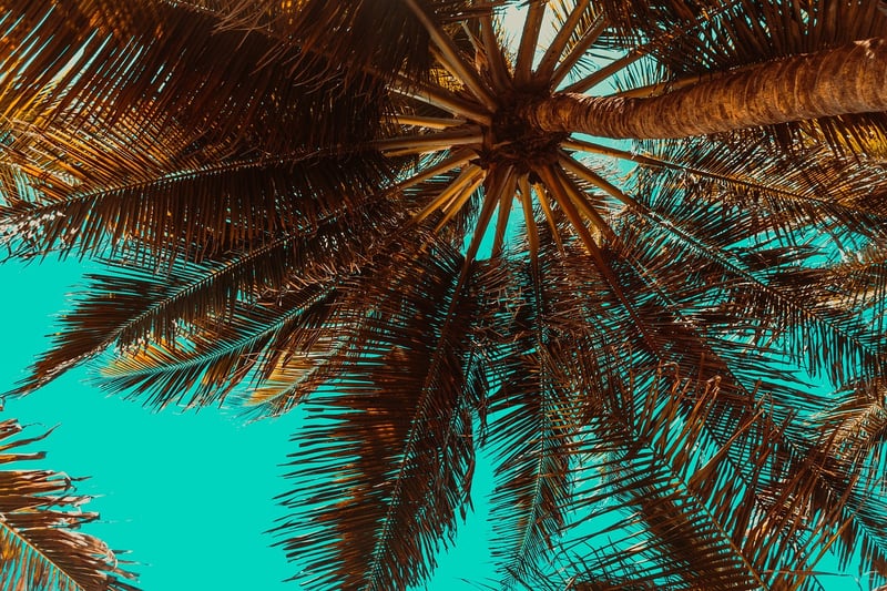 Island Hopping